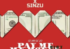 Dammy Krane ft. Sinzu – Pay Me My Money (Remix 2.0)