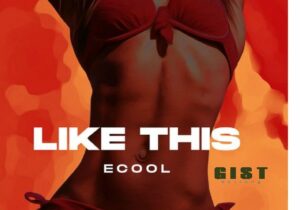 DJ Ecool – Like This