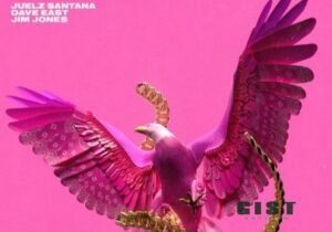 Juelz Santana – Pink Eagle