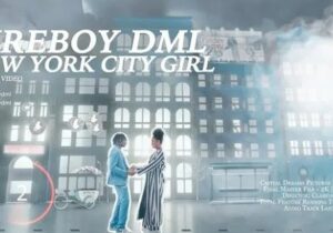 Fireboy DML New York City Girl Mp4 Download 