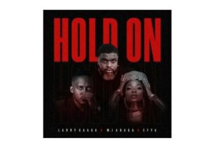 Larry Gaga Hold On Mp3 Download