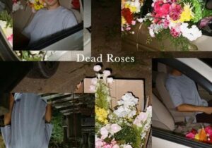 Ollie Dead Roses Mp3 Download 