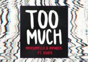 Marshmello & Imanbek Too Much Mp3 Download 