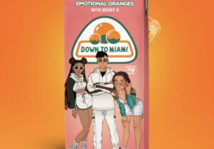 Emotional Oranges Down To Miami Mp3 Download