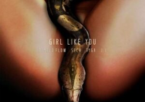 Dímelo Flow, Sech & Tyga Girl Like You Mp3 Download