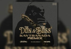 Busta Rhymes The Don & The Boss (Kaytranada Remix) Mp3 Download
