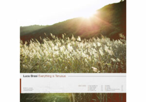 Luca Brasi Everything is Tenuous Zip Download