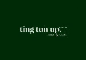 Skiifall Ting Tun Up Pt. II Mp3 Download 