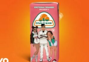 Emotional Oranges Down To Miami Mp3 Download