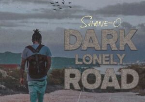 Shane O Dark Lonely Road Mp3 Download 