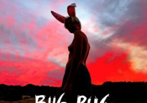 Biig Piig The Sky is Bleeding Zip Download 