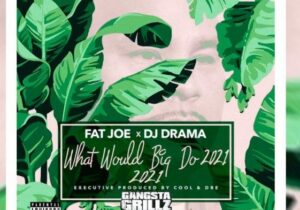 Fat Joe, DJ Drama & Cool & Dre What Would Big Do 2021 Zip Download