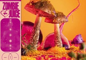 Zombie Juice VMA’s Mp3 Download