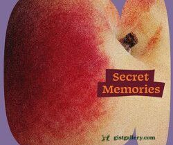 Sofia Bolt Secret Memories Mp3 Download