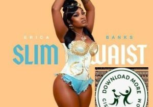 Erica Banks Slim Waist Mp3 Download