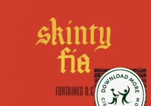 Fontaines D.C. Skinty Fia Mp3 Download