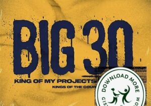 BIG30 King Of My Projects (Grizz Mix) Mp3 Download
