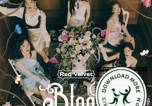 Red Velvet Bloom Zip Download