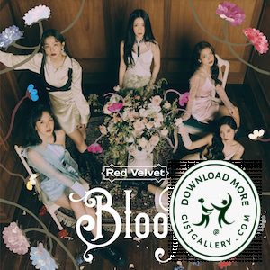 Red Velvet Bloom Zip Download