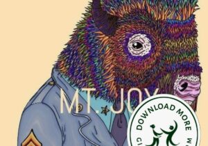 Mt. Joy Orange Blood  Zip Download 