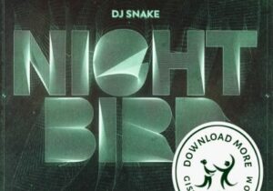 DJ Snake Nightbird Mp3 Download