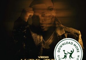 VEDO Mood Swings Zip Download
