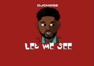 DJ Chose Let Me See Mp3 Download